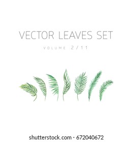 Bright vector watercolor leaf isolated on white background