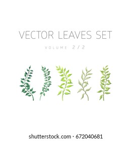 Bright vector watercolor leaf isolated on white background