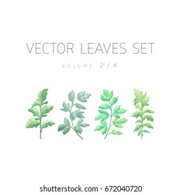 Bright vector watercolor leaf isolated on white background