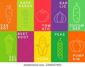 Bright vegetables cards in simple minimal style.Carrot,corn, tomato and asparagus,garlic,peas and selery, pumpkin, cucumber flyers,posters.Template design for local markets,eco farms,label.Vector