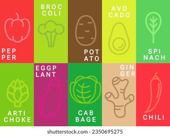 Bright vegetables cards in simple minimal style.Pepper,potato,avocado,broccoli,spinach,artichoke and eggplant,cabbage,ginger,chili flyers,posters.Template for design for local markets,eco farms.Vector