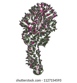 Bright vivid cacti cactus or exotic desert plant succulent. Vector.