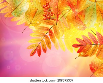 Bright warm sun light, orange dry leaves, autumn season. EPS10