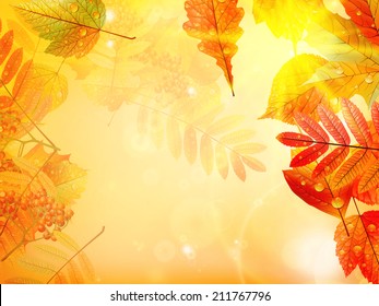 Bright warm sun light, orange dry leaves, autumn season. EPS10