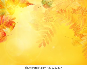 Bright warm sun light, orange dry leaves, autumn season. EPS10