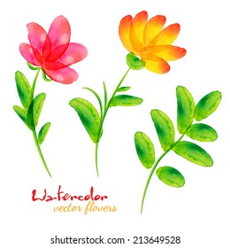 Bright watercolor painted vector flowers set