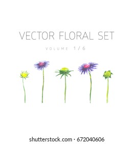 Bright watercolor set of vector flowers with leaf isolated on white background