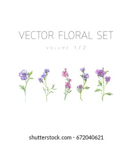 Bright watercolor set of vector flowers with leaf isolated on white background
