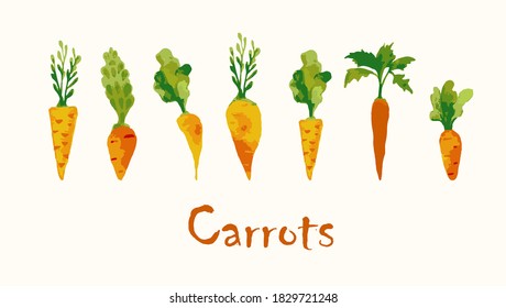 Bright watercolor vector set of colorful carrots. Fresh cartoon vegetable isolated on white background. Illustration used for magazine, book, poster, card, menu cover, web pages.