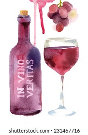 Bright watercolor wine design elements (in vino veritas - verity in wine)