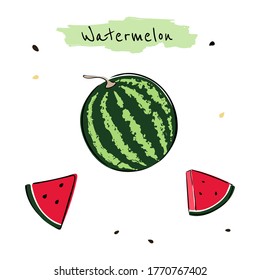 Bright watermelon on white background. Hand drawn illustration