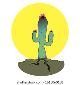 Bright windy illustration of a cactus in the desert at sunset