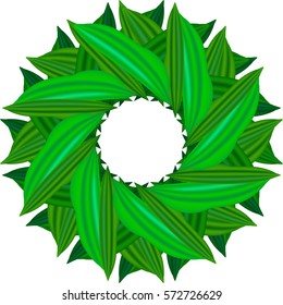 Bright wreath of spring green leaves. Herbal element for cards, postcards, posters and other design projects. Banner template. Vector illustration.