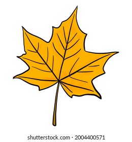 Bright yellow artistic maple leaf with watercolor texture vector illustration isolated on white background. Design element for autumn design. Fall graphic clip art.