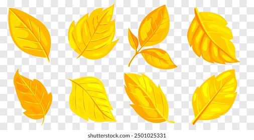 Bright yellow autumn leaves in various shapes and sizes, illustrated on a transparent background. Concept of fall foliage and seasonal change. Vector illustration