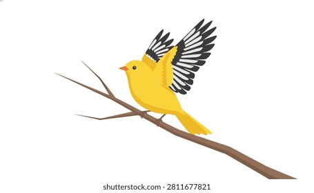 Bright yellow bird with black and white patterned wings landing on a bare brown tree branch.