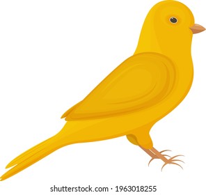 A Bright Yellow Canary Bird. Songbird Vector Illustration Isolated On White Background.