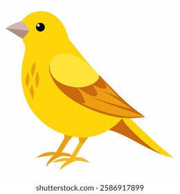 A bright yellow canary bird. Songbird vector illustration isolated on white background.Suitable for education poster ornithology ,children's books. 