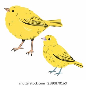 A bright yellow canary illustration, ideal for bird related branding, logos, and educational designs.