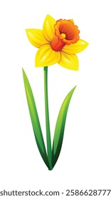 Bright yellow daffodil flower with leaves. Vector cartoon illustration