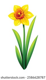 Bright yellow daffodil flower with leaves, perfect for spring and summer designs. Vector cartoon illustration