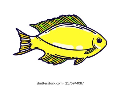 Pescado amarillo brillante, ilustración vectorial dibujada a mano. Menú de mariscos de restaurante con un elemento gráfico aislado en blanco.
