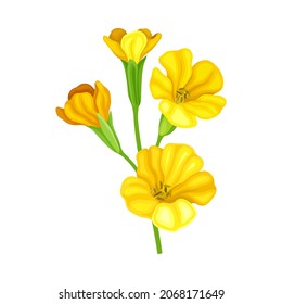 Bright Yellow Floret with Showy Petals and Stamen on Stem Closeup Vector Illustration