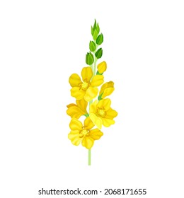 Bright Yellow Floret with Showy Petals and Stamen on Stem Closeup Vector Illustration