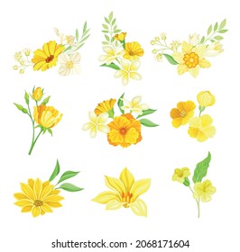 Bright Yellow Flower or Blossom with Petals and Green Leaf Vector Set