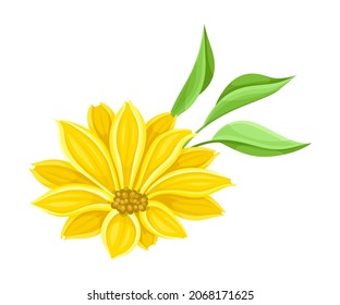 Bright Yellow Flower with Showy Petals and Stamen Closeup Vector Illustration