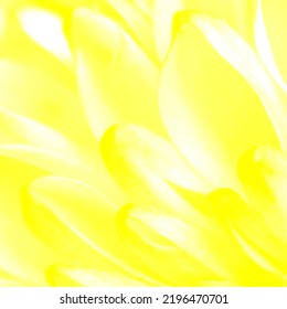 combinación de patrón de hoja de fondo abstracto de gradiente amarillo brillante