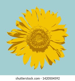 
Bright yellow inflorescence of sunflower on a white background. Realistic Helianthus Flower