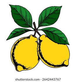 Bright yellow lemons with leaves. Plant element in hand drawn style on isolated white background.