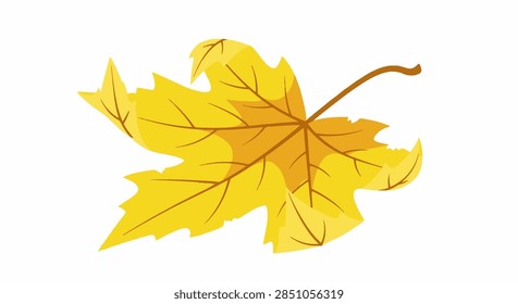 Bright Yellow Maple Leaf Twisting During Autumn Fall