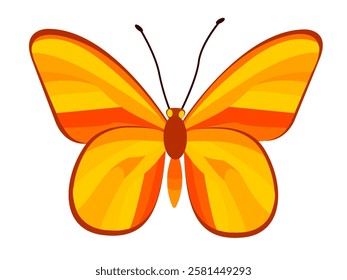 Bright yellow and orange butterfly vector illustration representing spring and summer beauty in nature