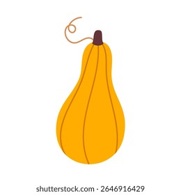 Bright yellow squash with long shape and stem, isolated for autumn-themed graphics and healthy food design