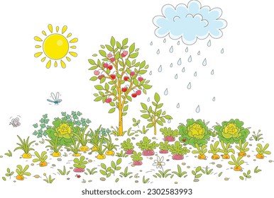 Bright yellow sun and a blue rain cloud over a pretty vegetable garden in a village on a rainy summer day, vector cartoon illustration isolated on a white background