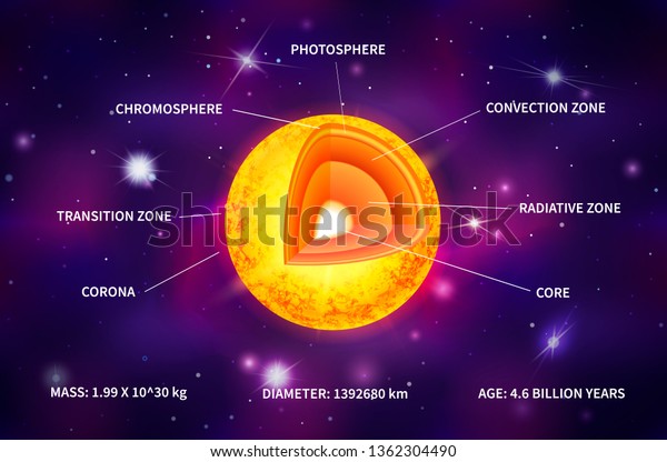 Image Vectorielle De Stock De Infographie De La Structure D