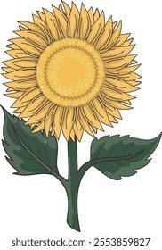 A bright yellow sunflower with green leaves, facing the sun