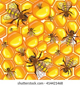 Bright yellow vector graphic illustration of many bees on sweet honey combs on white background 