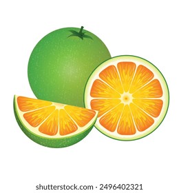 Brighten your designs with this detailed vector of juicy oranges. Perfect for food packaging, kitchen decor, recipe books, and vibrant website graphics