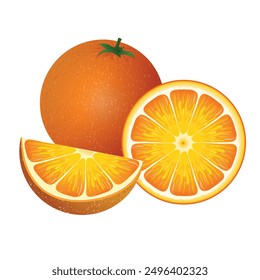 Brighten your designs with this detailed vector of juicy oranges. Perfect for food packaging, kitchen decor, recipe books, and vibrant website graphics