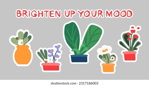 Brighten up your mood - hand drawn lettering in unique style with indoor flowers for a hobby. Home plants for interior. Stickers. Illustration of  Fun quote for poster made in flat style vector. 