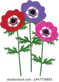 The brightly colored anemones are famous for having fascinated the great artist Renoir.