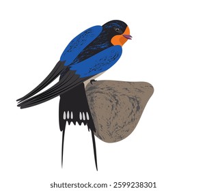 Brightly colored female swallow sitting on edge of nest. Vector isolated drawing view from back. Blue textured feathers, light colored body, black tail.