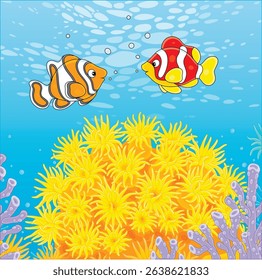 Brightly colored fishes frolic over a colorful coral reef in a tropical sea, vector cartoon illustration