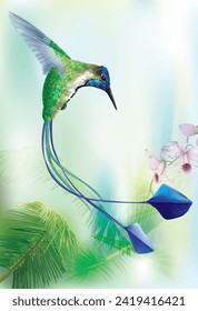 Brightly colored hummingbird Marvelous Spatuletail Loddigesia mirabilis in flight from above over palm foliages. Vector curves and mesh illustration