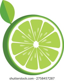 A brightly colored illustration of a lime slice, featuring a green exterior, white segments, and a single leaf, set against a clean white background.