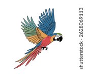Brightly colored macaw parrot soaring on a white background.