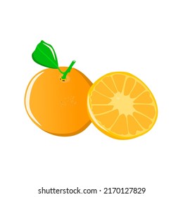 Frutos anaranjados de colores brillantes perfectos para gráficos vectoriales, ilustraciones de libros infantiles, pegatinas, impresión de pantalla, logotipos y otras necesidades de marca